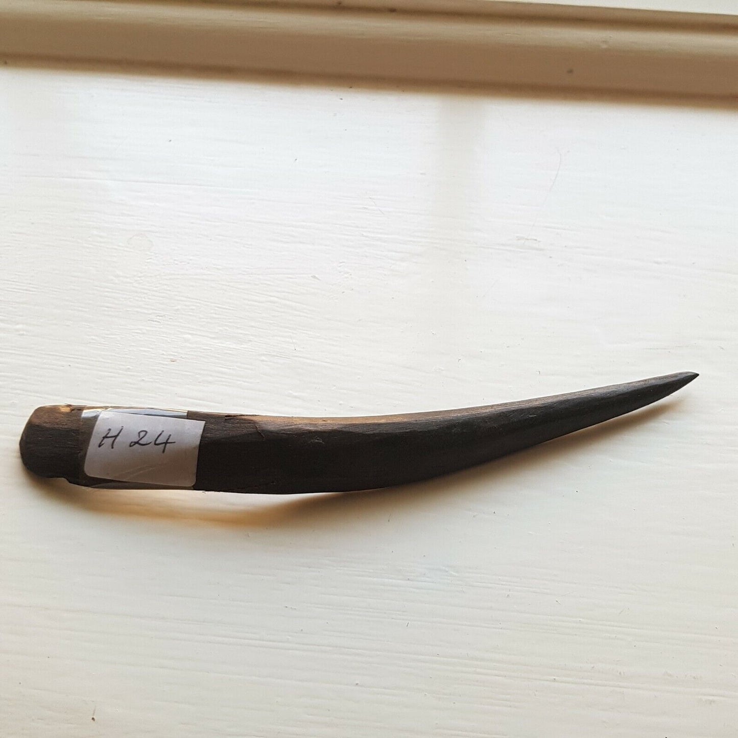 A curved cow horn titled H24 used for finishing, opening sewn welts, burnishing, and polishing leather