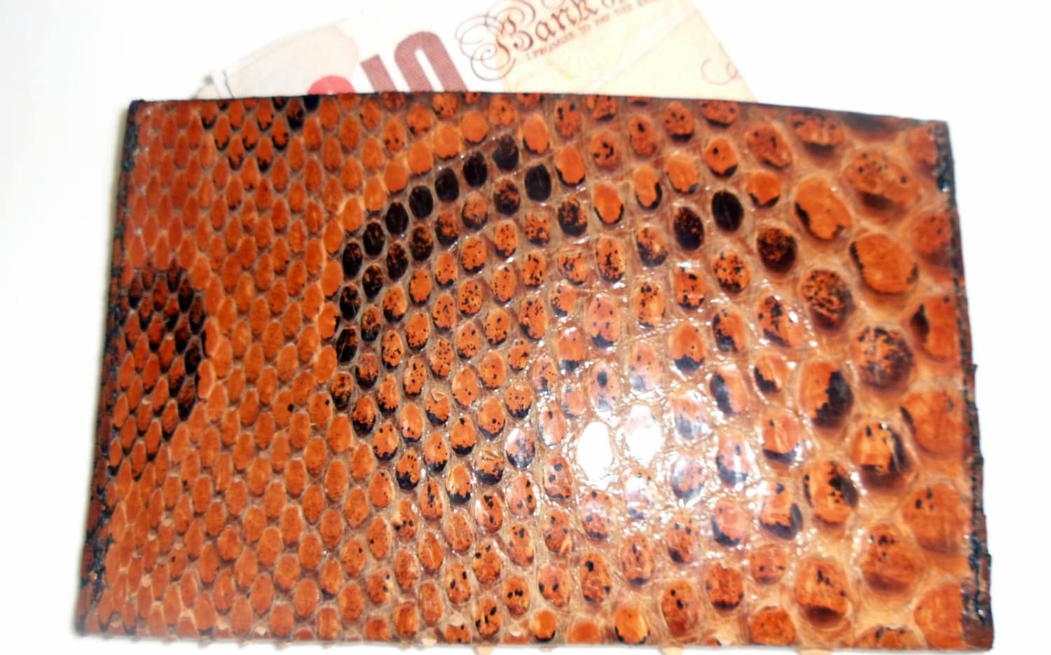 Back view of Anaconda snakeskin leather wallet with cash 