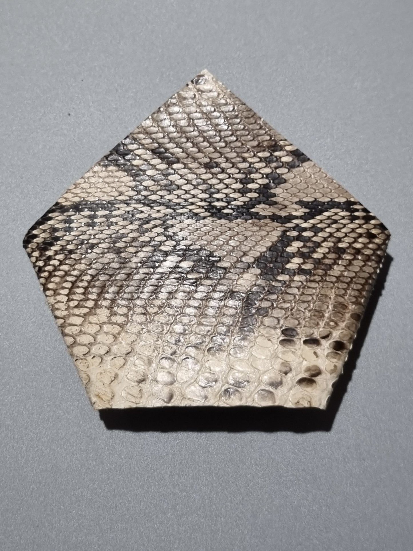 A triangular suit pocket made from  real python snakeskin showing scale design in beige, brown, black, and gray tones, photographed on a plain grey background.