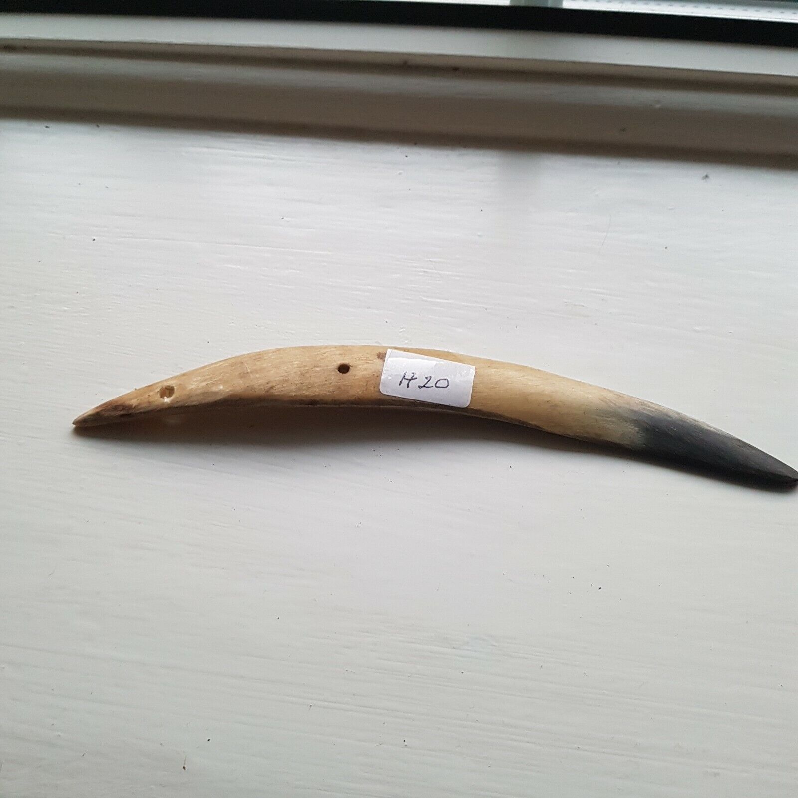 A curved cow horn titled H20 used for leather finishing tasks such as opening sewn welts, burnishing, and polishing.