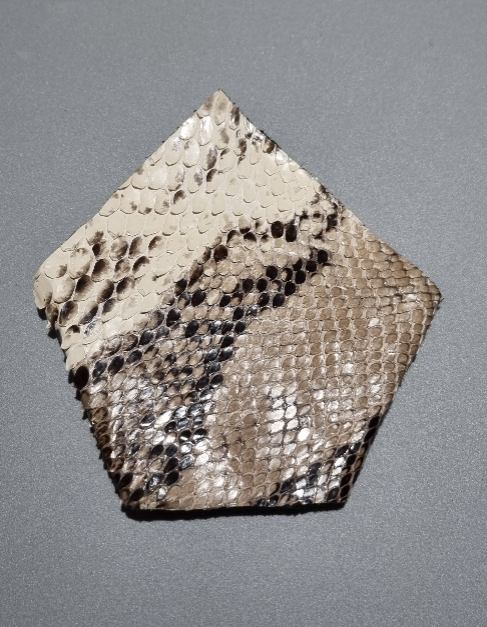 One point men attire suit square pocket made from real python snakeskin in beige, brown, and black, displayed on a neutral gray background.