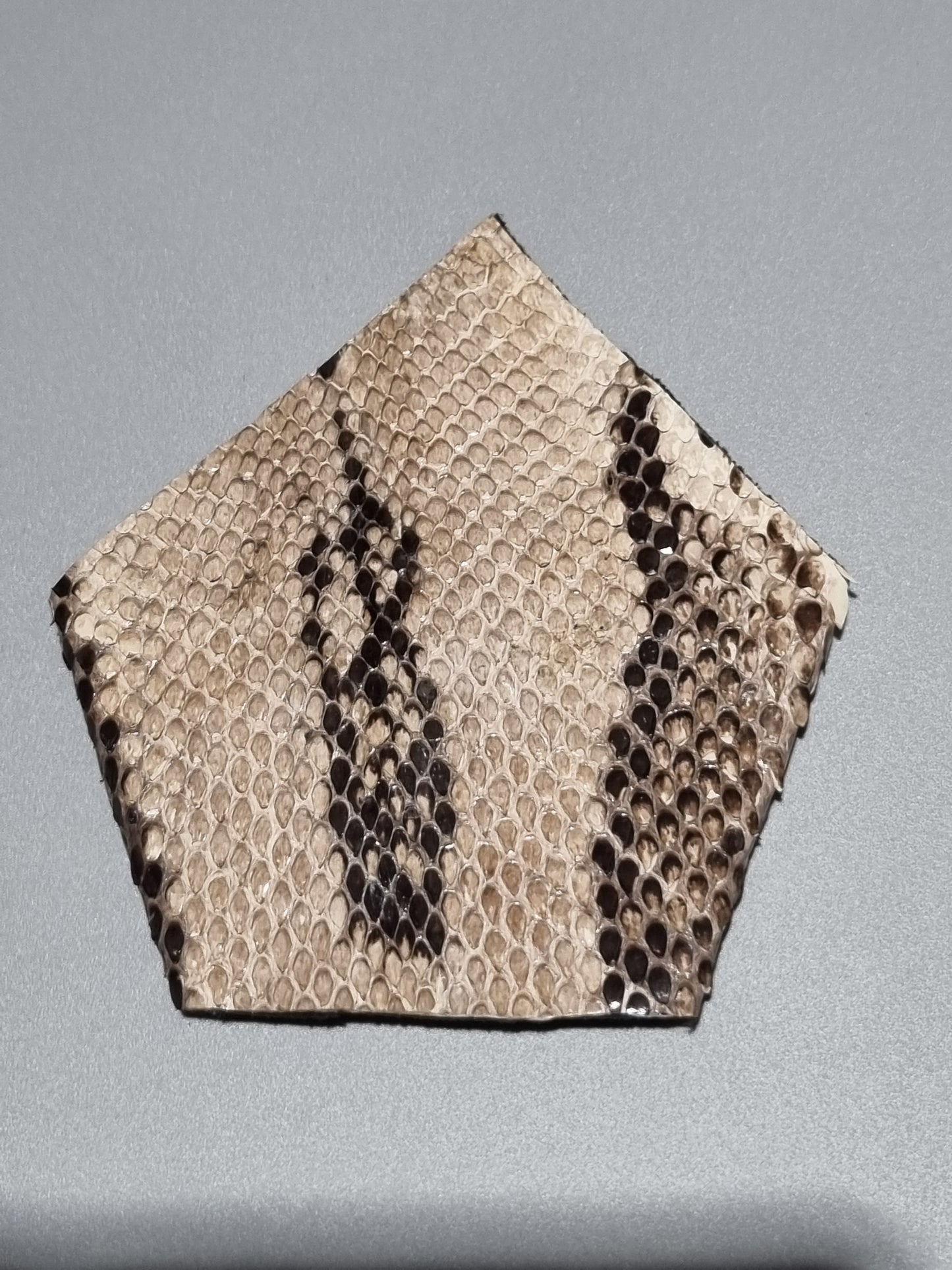 A square suit one point pocket made from real snakeskin with patterns in beige, brown, and black scale design, displayed on a neutral gray background.