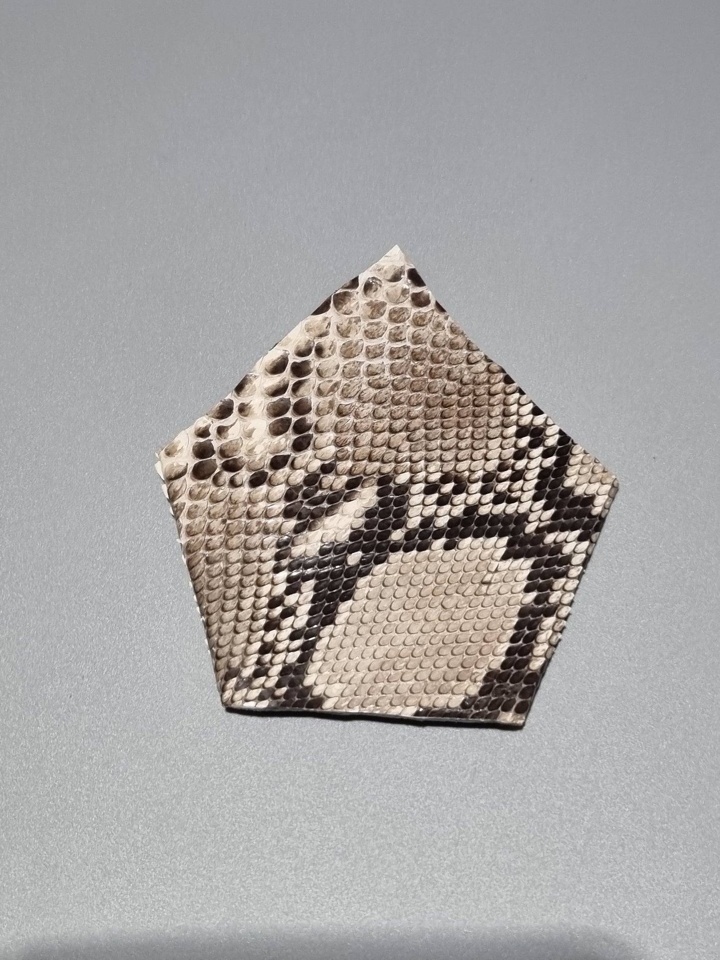 A snakeskin suit one point pocket made from real snakeskin with patterns in beige, brown, and black scales, photographed on a plain light gray background.