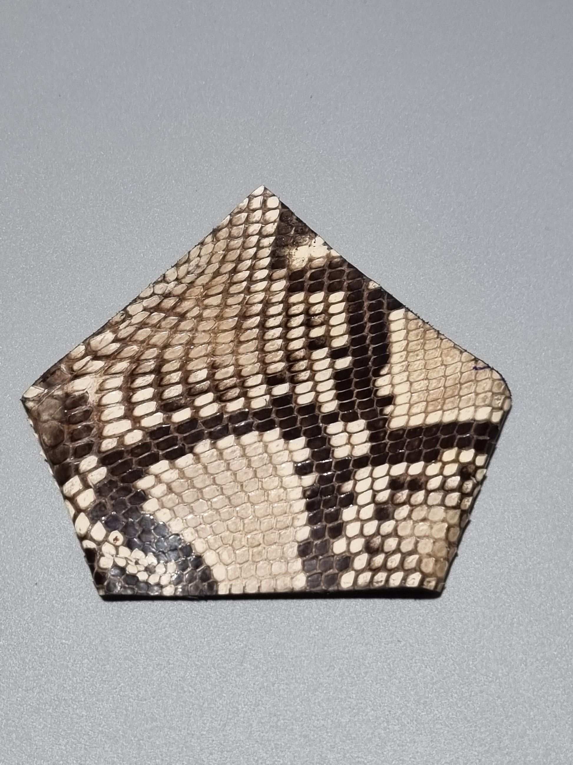 Real python snakeskin suit one point pocket with scale patterns, displayed on a neutral gray background.