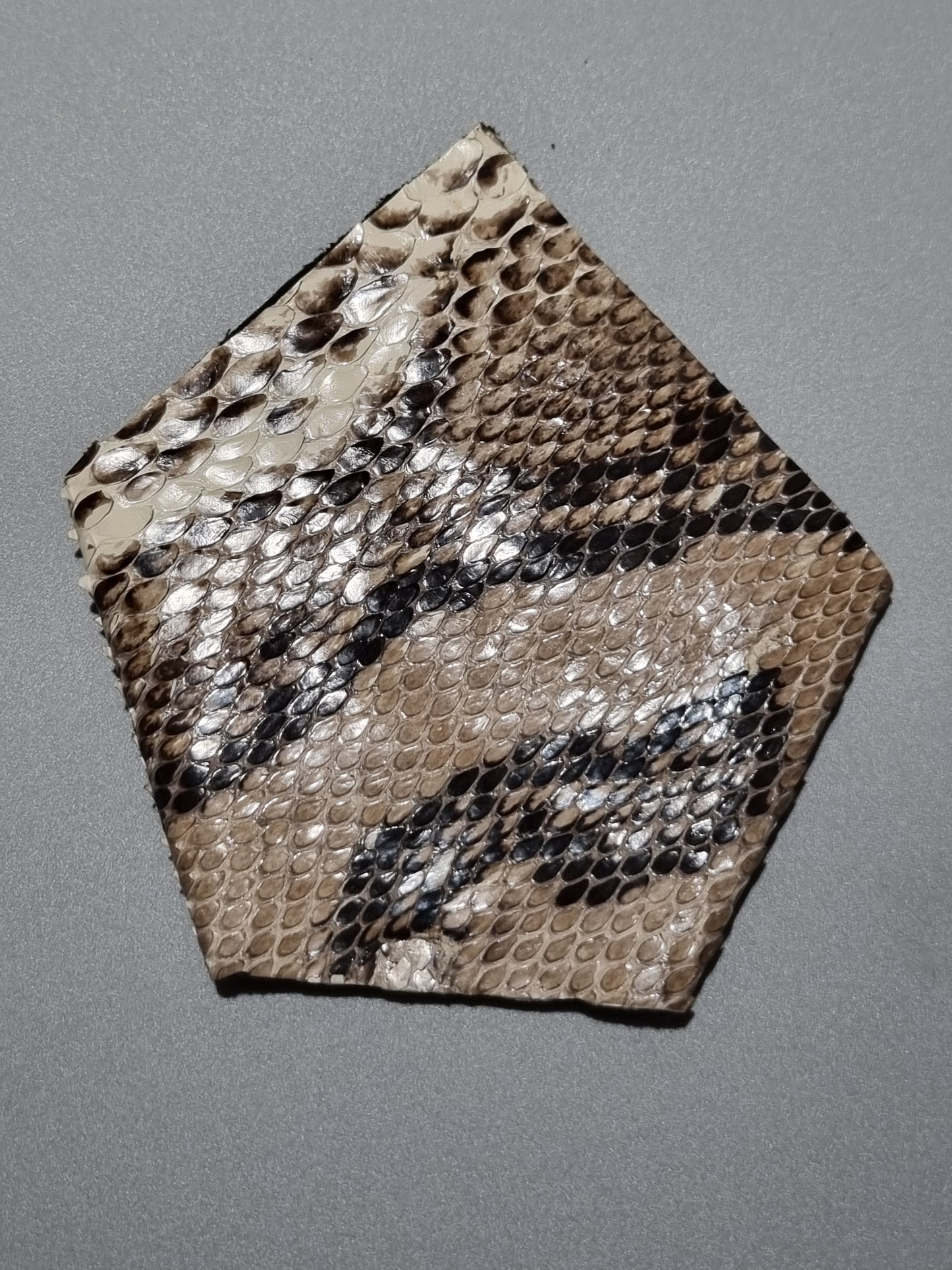 A square suit pocket made from real python snakeskin showing scale pattern with a glossy finish, featuring a mix of brown, beige, and black scales, placed on a solid gray background.