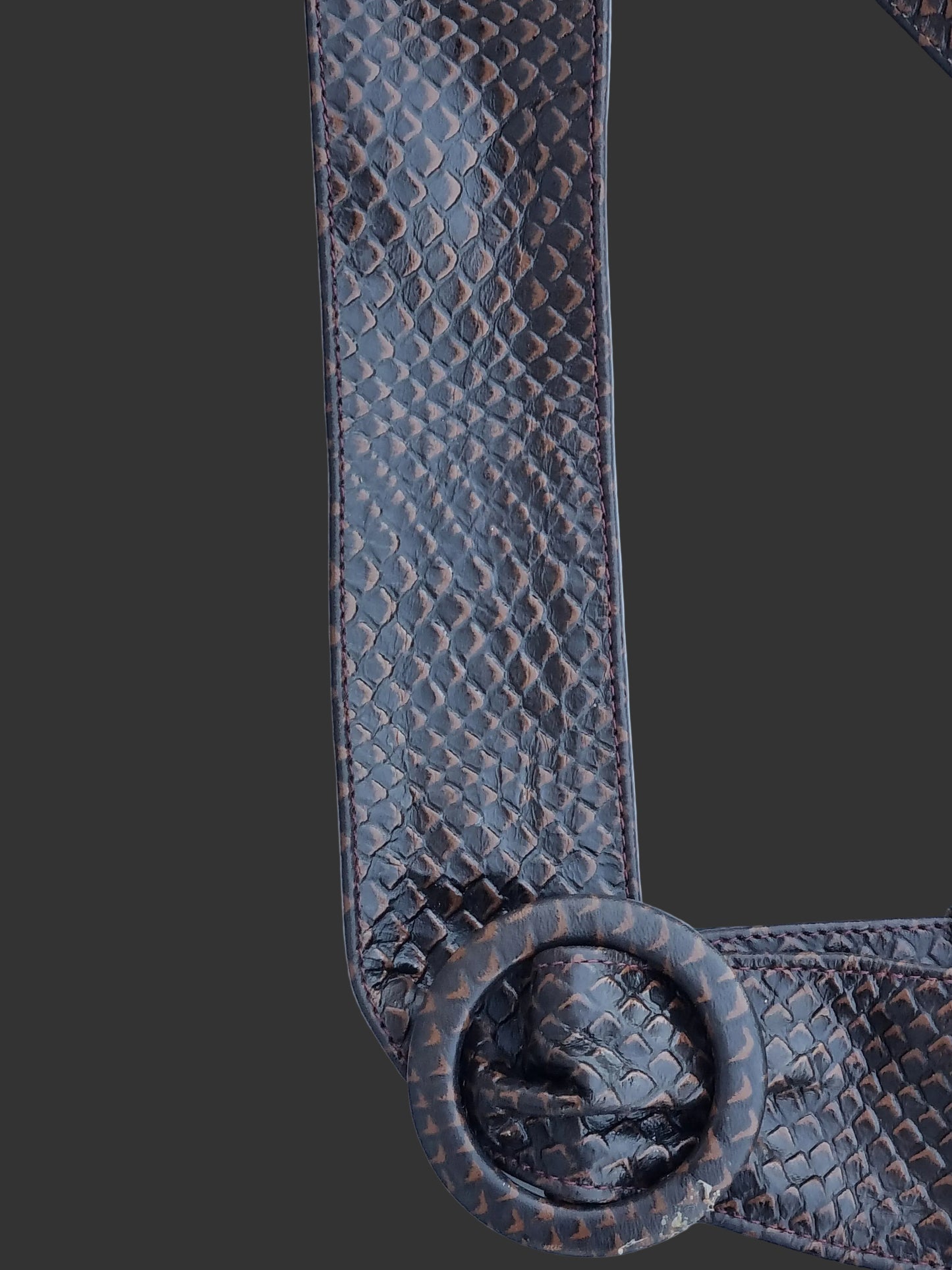 Close-up of a dark brown rattle snakeskin belt with a matching circular buckle. 